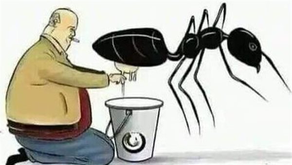 موقع أيام نيوز