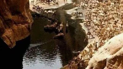 اتركي أمي بمكانها حتى يأتي من يأخذها