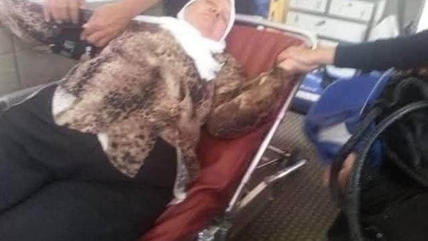 موقع أيام نيوز